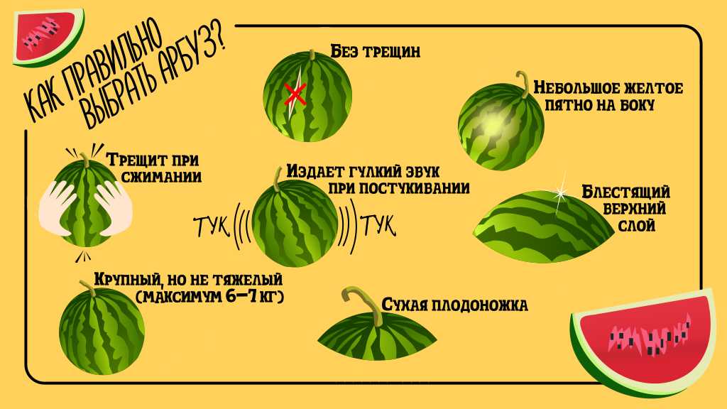 Узнаем, дозревают ли арбузы в созванном виде: может ли зеленый плод дозреть дома если полежит, поспеет ли разрезанный и что сделать, чтобы доспел