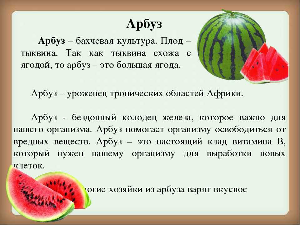 Арбуз — ягода, фрукт или овощ? подробный ответ на вопрос. полезные свойства ягоды арбуз✔