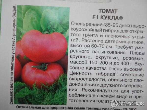 Раннеспелый томат «афродита f1»: описание сорта и особенности выращивания