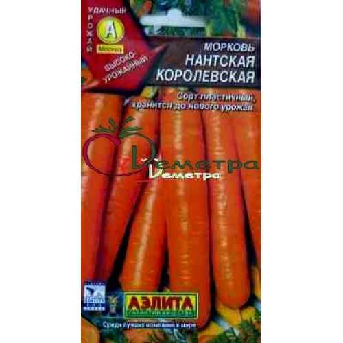 Сладкий среднеспелый сорт моркови нантская 4