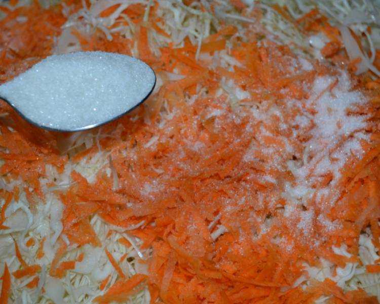 Соленая капуста — очень вкусные рецепты быстрого приготовления