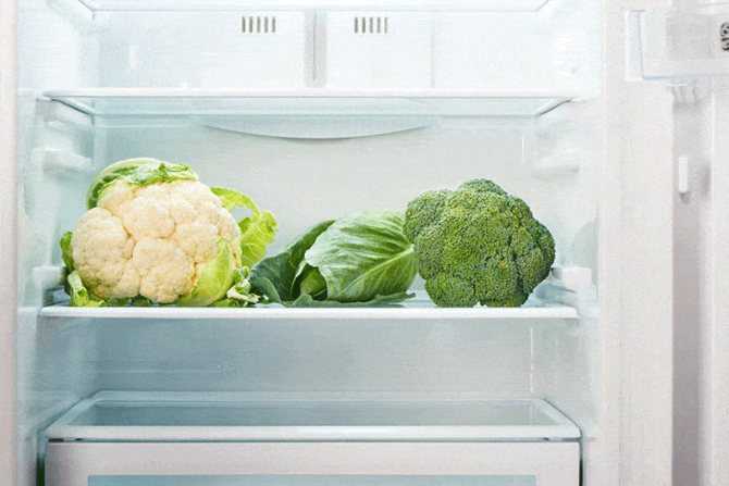 Как хранить капусту цветную на зиму в домашних условиях, используя холодильник и морозильную камеру? русский фермер