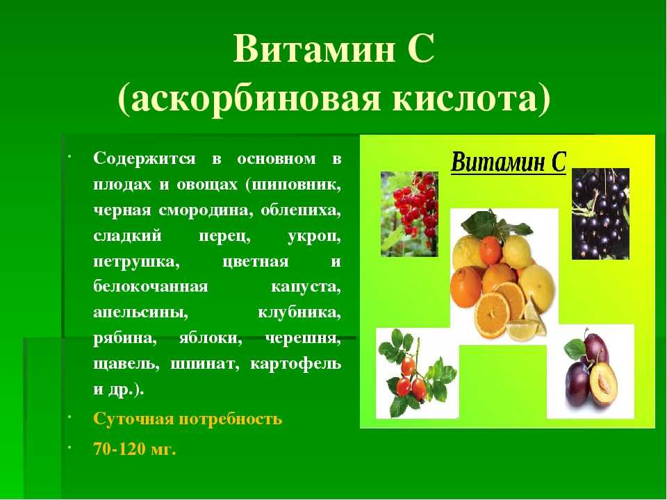 Укроп: калорийность, сколько ккал на 100 грамм, что содержится в свежем, какие есть витамины, также химический состав, пищевая, энергетическая ценность, бжу зеленого русский фермер