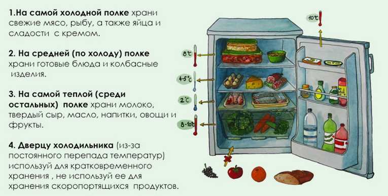 Несколько хитростей, как лучше всего хранить капусту в холодильнике