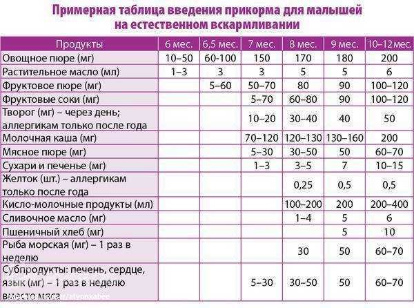 Прикорм недоношенных овощными пюре