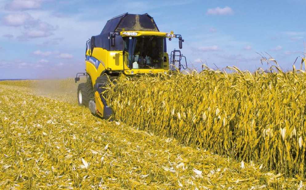Уборка озимой и яровой пшеницы в разных регионах россии