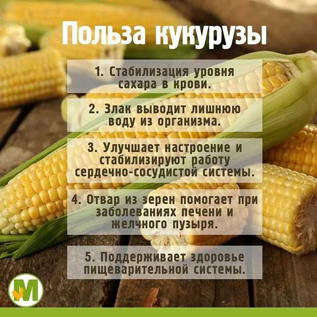 Топ-4: какие витамины в кукурузе: вареной, консервированной, польза, вред, таблица
