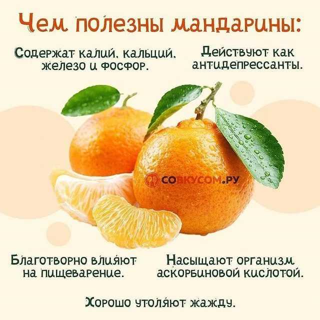 Мандарин - основы посадки, пересадки, размножения и ухода | cельхозпортал