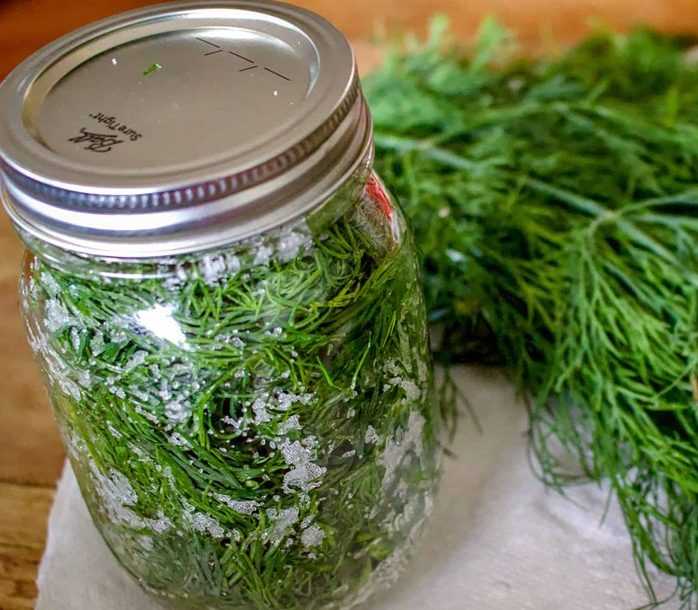 Зелень на зиму: 12 лучших рецептов приготовления в домашних условиях, хранение