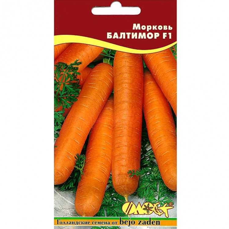 Морковь сорт император отзывы