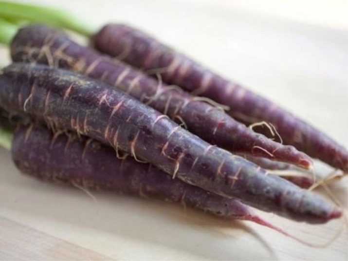 Популярные сорта и гибриды фиолетовой моркови