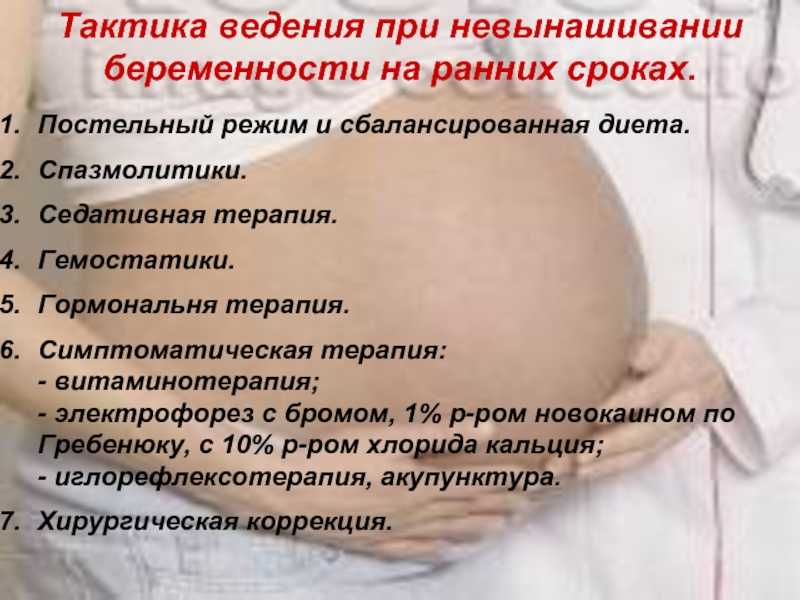 Польза и вред петрушки при беременности на ранних и поздних сроках, в каких случаях запрещено употреблять зелень