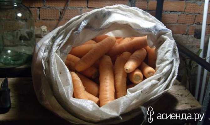 Как хранить морковь в погребе зимой — обзор лучших способов и практические рекомендации