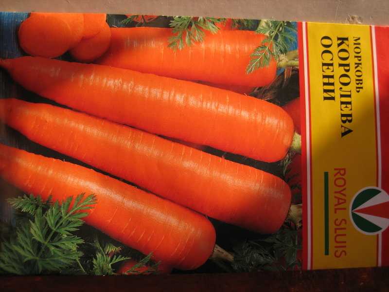 Лучшие сорта моркови для подмосковья открытый грунт 2021