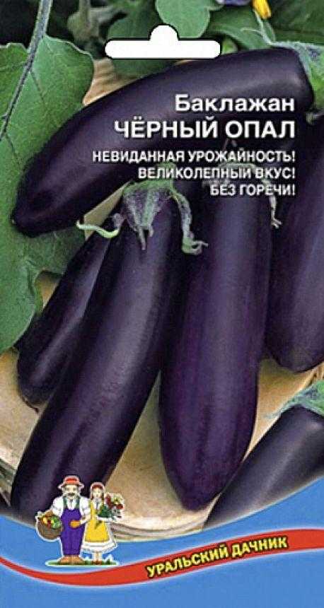 Баклажан черный опал: описание, выращивание, уход, фото