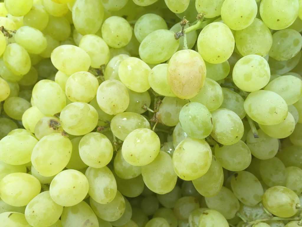 Сколько калорий в винограде в зеленом, черном, белом и красном :: syl.ru