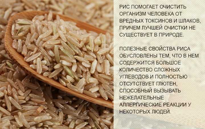 15 лучших производителей риса