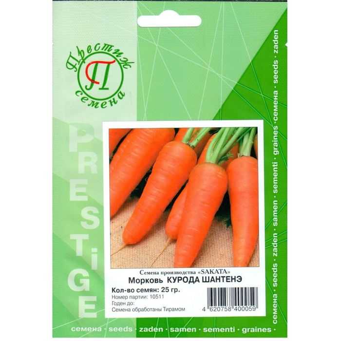 Морковь курода: шантане, саката, отзывы об урожайности и описание сорта, фото