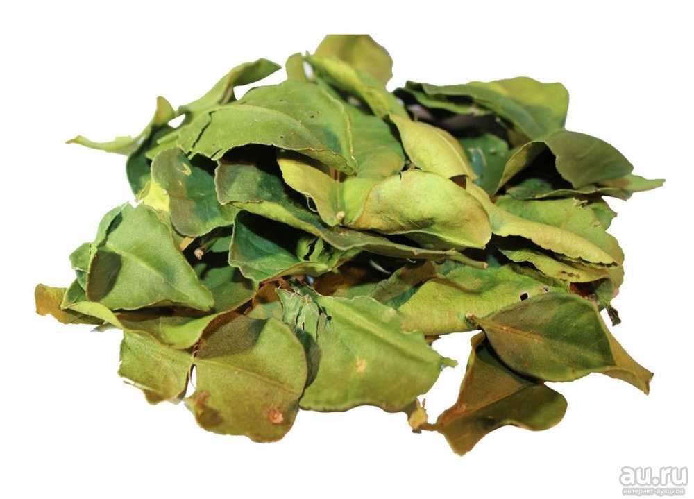 Листья кафрского лайма – полезные свойства, сфера применения и вкусные рецепты