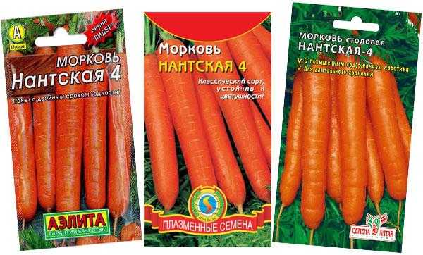 Морковь нантская: описание сорта, характеристики, выращивание и уход
