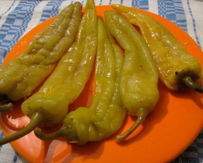 Чем отличаются кайенский перец и чили?