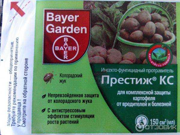 «престиж» против колорадского жука для обработки картофеля: инструкция и отзывы о применении