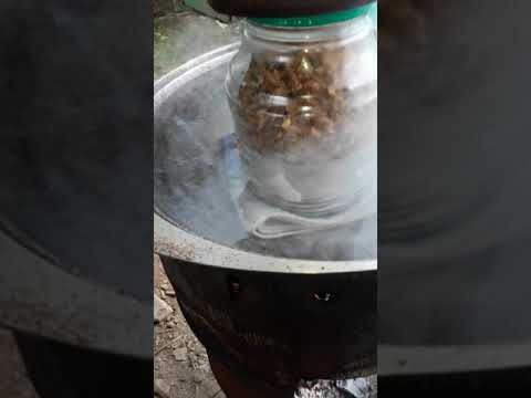 Ферментация табака частного изготовления - век живи