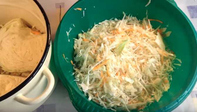 Классический рецепт квашеной капусты в домашних условиях: вкусные рецепты закваски капусты дома на зиму