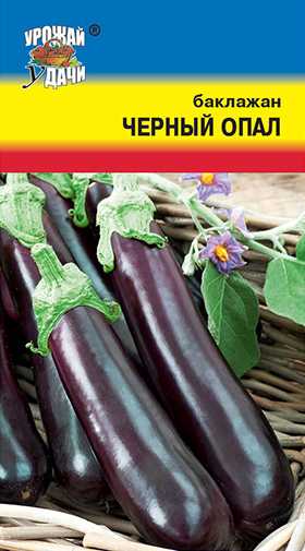 Семена баклажан черный опал: описание сорта, фото. купить с доставкой или почтой россии.