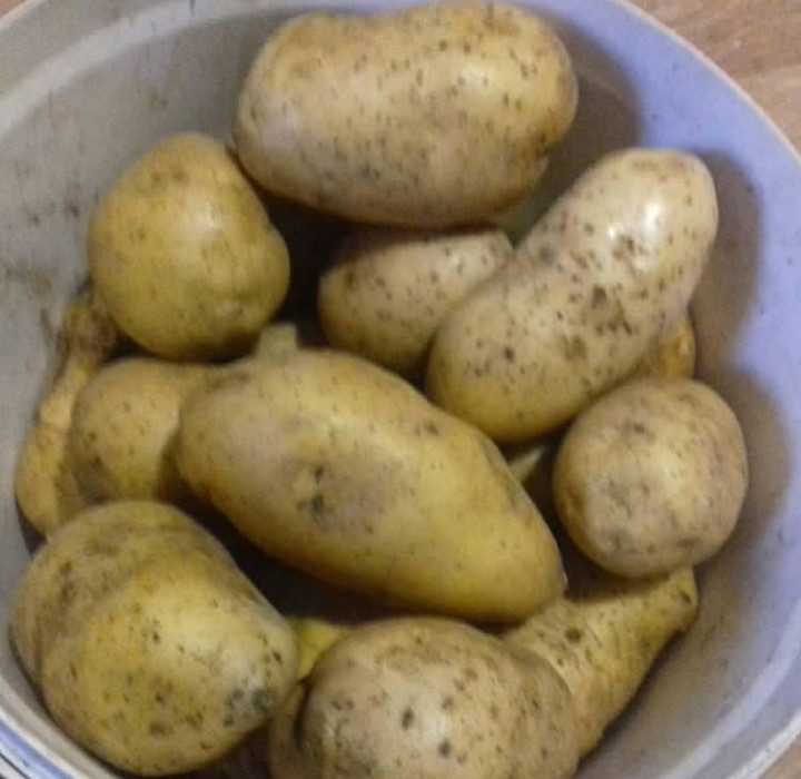 Почему картофель при варке становится рассыпчатым
