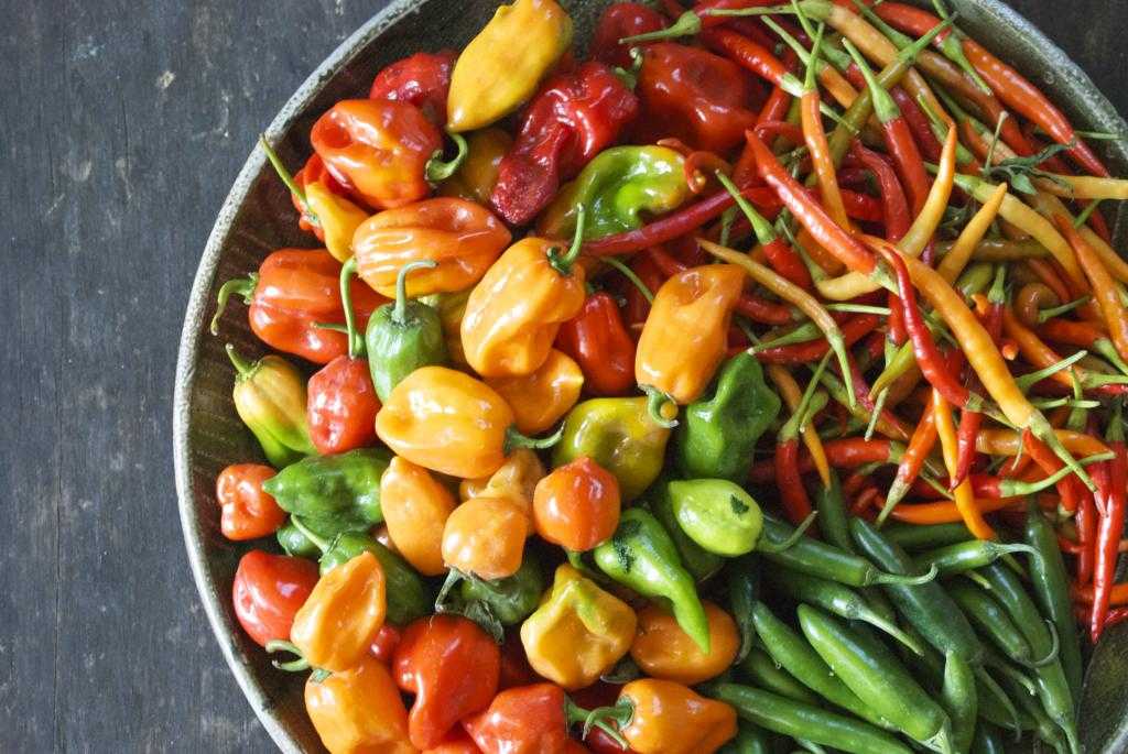 Как использовать перец хабанеро? 10 вкусных идей