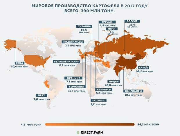 Россияне превысили норму потребления картофеля на 25% — agroxxi