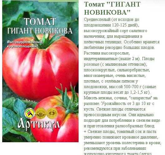 Томат гигант красный: характеристика и описание сорта, отзывы об урожайности помидоров, фото куста