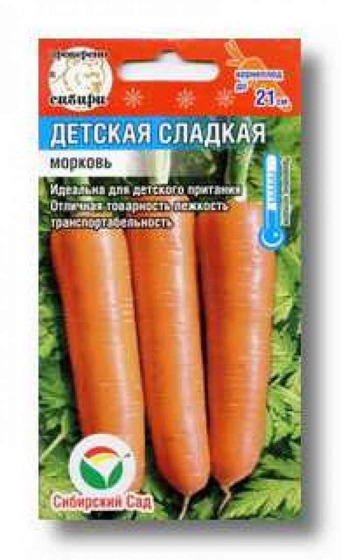 Среднеранний сорт моркови с повышенным содержанием каротина: детская сладкая