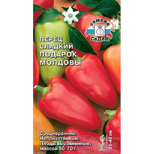 Перец сорта «подарок молдовы»: как выглядит, особенности выращивания