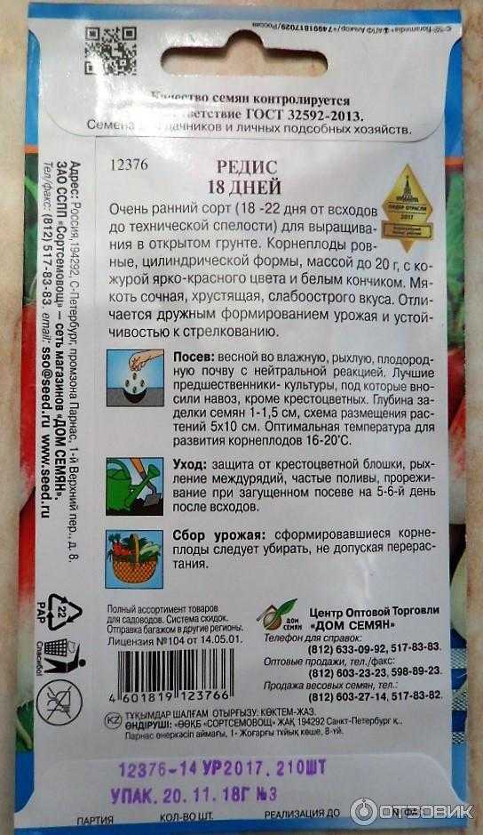 Посадка редиса в открытый грунт весной: схемы, правила, сроки