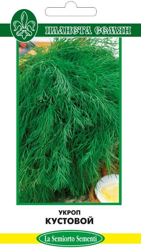 Укроп кустовой: сорта для зелени (русский размер, супердукат и т.д.), декоративный кустистый укроп, фото и отзывы