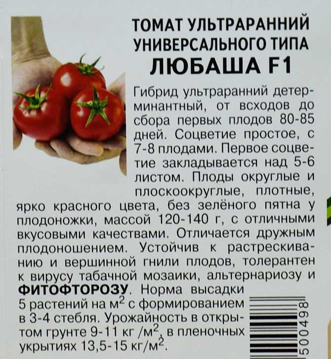 Удивительный сорт томатов пузата хата: ранний, урожайный, неприхотливый