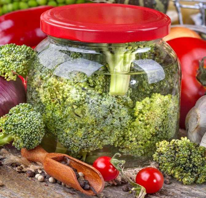 Капуста брокколи на зиму. 5 отменных рецептов для всех любителей овощей
