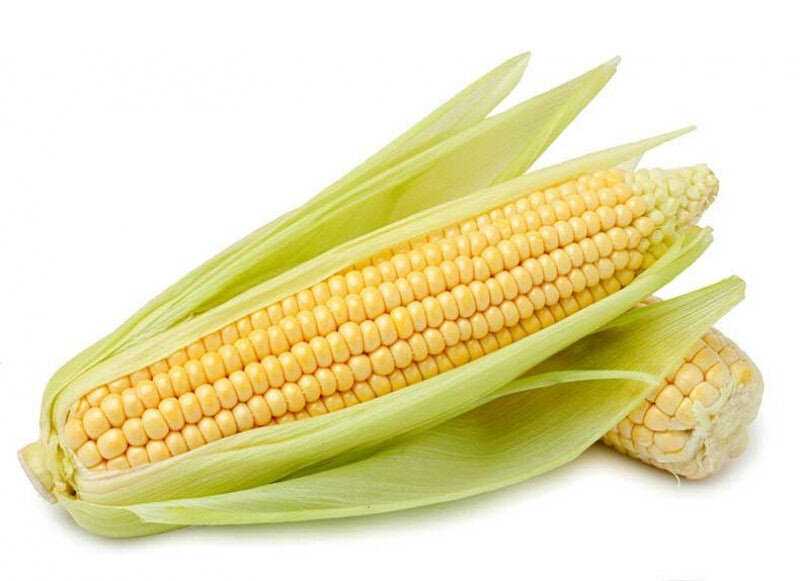Диетологи поделились, полезна ли консервированная кукуруза