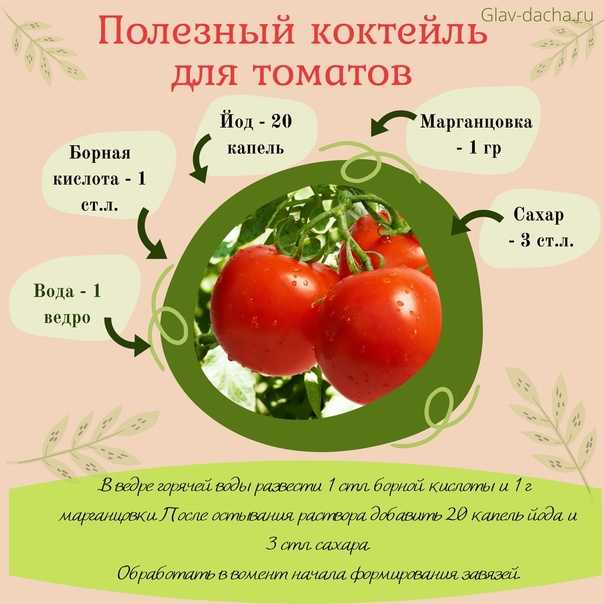 Йод для помидоров в теплице – дозировки, рецепты, польза удобрения