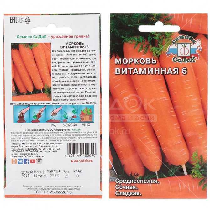 Морковь витаминная 6: описание сорта, фото, отзывы дачников об урожайности, рекомендации по выращиванию