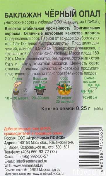 Баклажан черный опал: описание сорта, отзывы о нем, информация о выращивании
