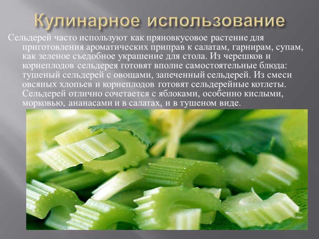 Сельдерей: витамины, какой на вкус, как едят, каких видов бывает – проовощи.ру
