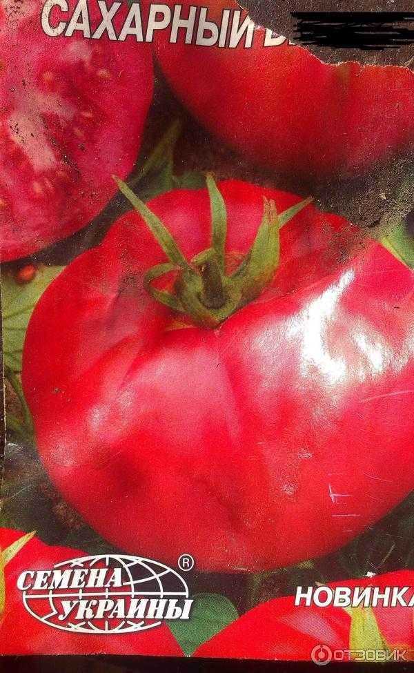 Стабильный в урожайности и устойчивый к болезням томат «сахарный бизон»: характеристика и описание сорта