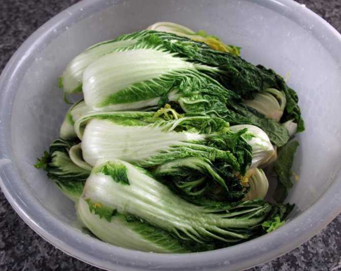 Пекинская капуста - польза для похудения, калорийность, свойства и диетические рецепты