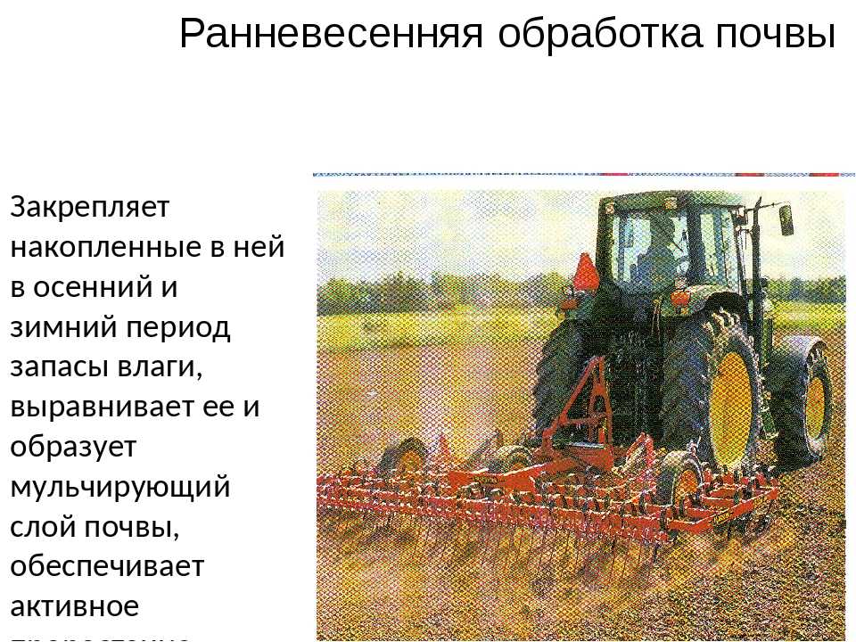 Технологическая карта возделывания кормовой свеклы