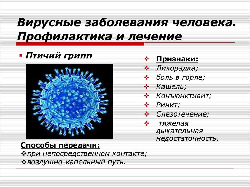3 вирусных заболеваний человека