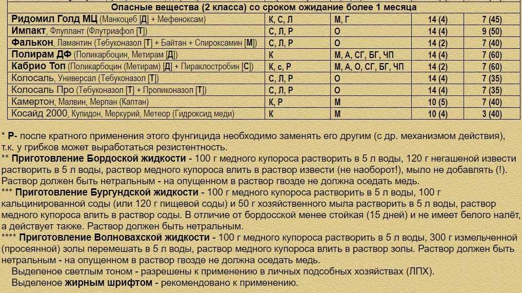 Чем обработать розы весной от болезней и вредителей на supersadovnik.ru
