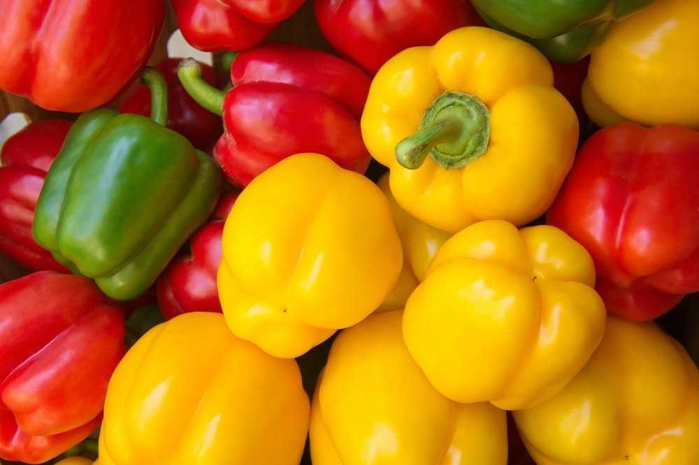 Зеленый болгарский перец: польза и вред, калорийность сладкого овоща, чем он полезен при различных заболеваниях